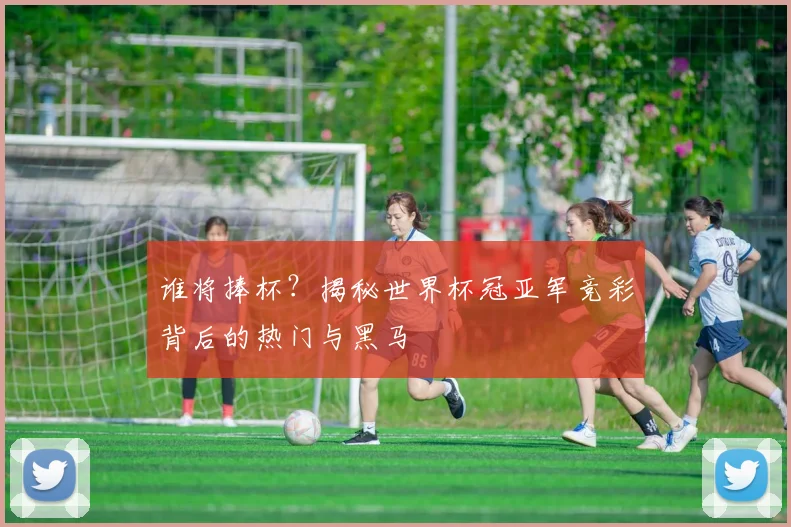 谁将捧杯？揭秘世界杯冠亚军竞彩背后的热门与黑马