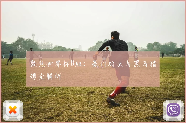 聚焦世界杯B组：豪门对决与黑马猜想全解析
